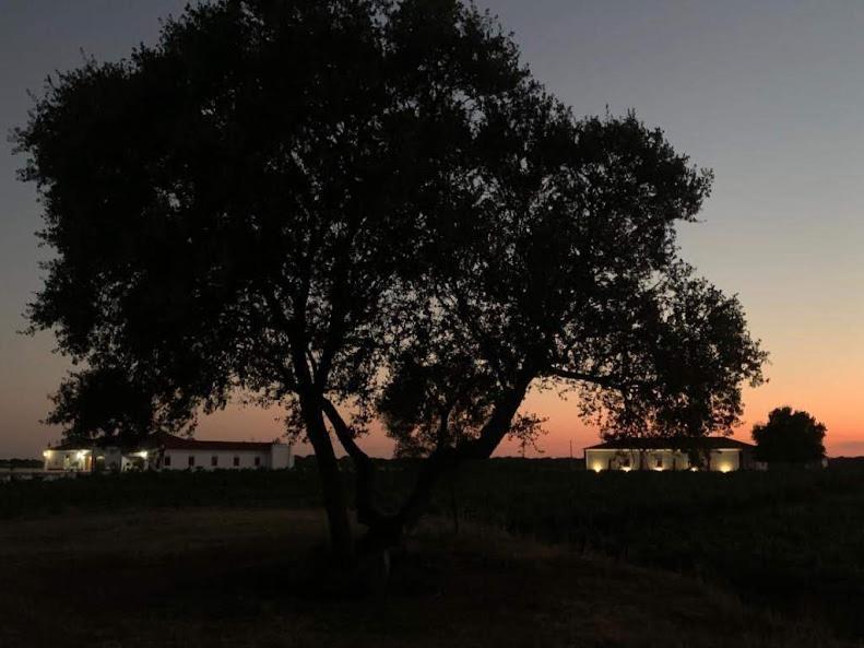 Herdade Das Castas Nobres Redondo Exterior photo