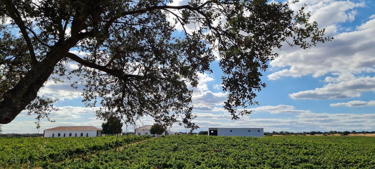 Herdade Das Castas Nobres Redondo Exterior photo