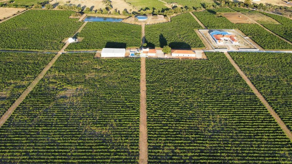 Herdade Das Castas Nobres Redondo Exterior photo